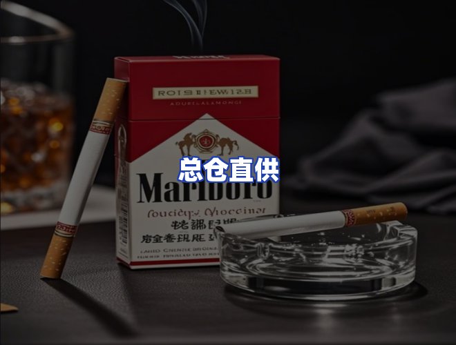 专业团队